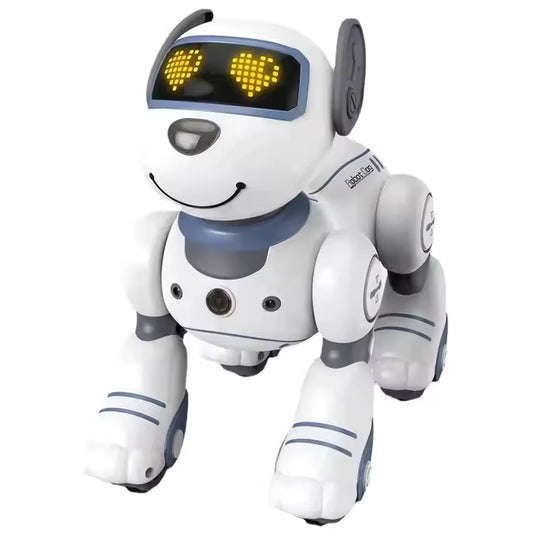 Çocuklar İçin Robotik Macera: RoboGüneş & RoboDog