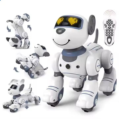 RoboDog