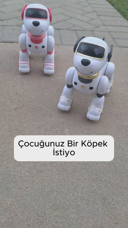 RoboDog